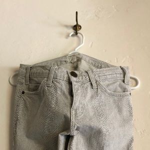 Current Elliot | Python Print